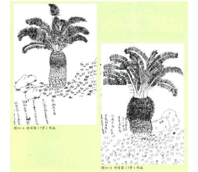 鐵樹線描畫法步驟教學過程