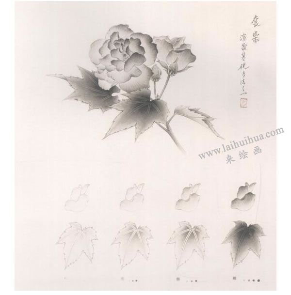 芙蓉工筆畫