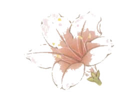 工筆畫先染后罩技法（杜鵑）范例