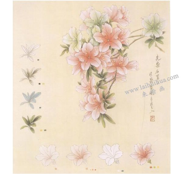 杜鵑花工筆畫