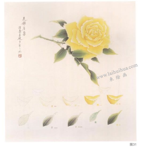 黃月季工筆畫