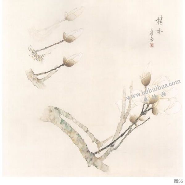 玉蘭工筆畫