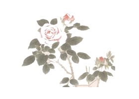 花卉淡彩技法圖例