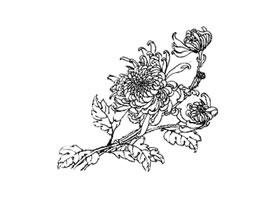 傳統(tǒng)線描介紹