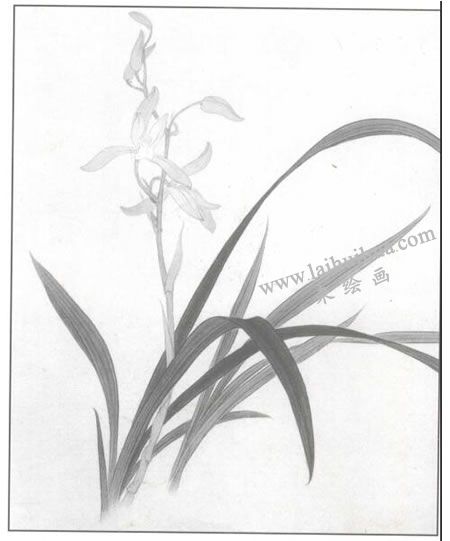 工筆花卉：蘭花的工筆畫(huà)法步驟02