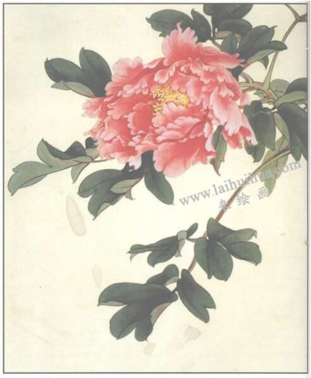 粉紅牡丹的工筆畫(huà)法步驟04