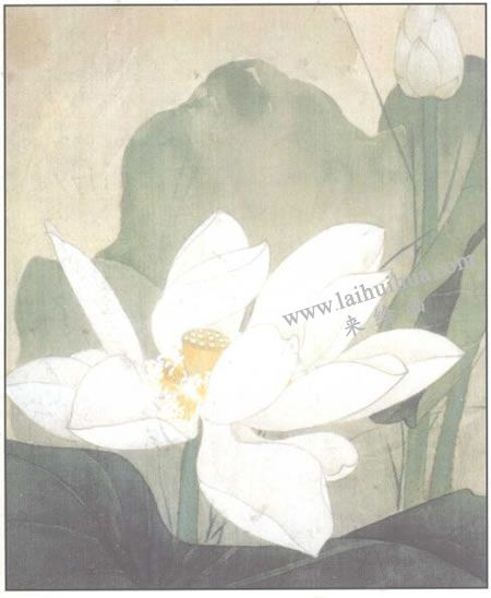 工筆花卉：白色荷花的工筆畫法步驟03