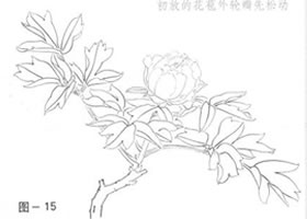 怎樣畫牡丹？