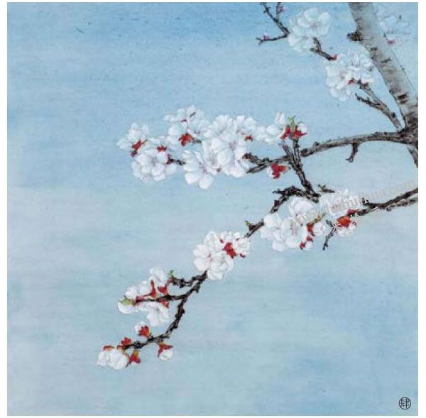 杏花工筆畫(huà)法步驟范例04