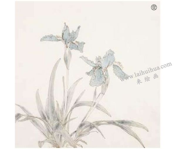 鳶尾工筆畫法步驟范例01