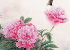 芍藥工筆畫(huà)法（二）