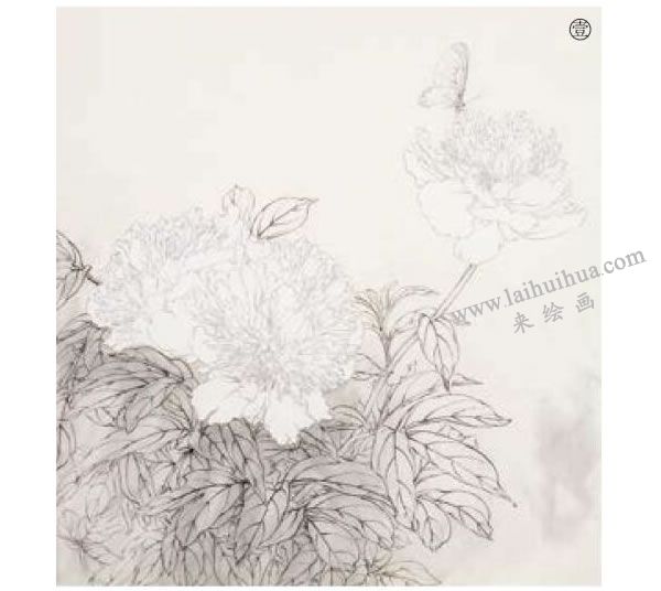 芍藥工筆畫(huà)法步驟范例圖示01