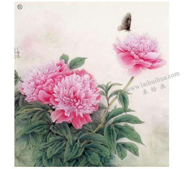 芍藥工筆畫(huà)法步驟范例圖示05
