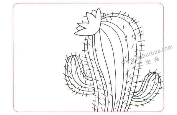 開在沙漠里的花兒童線描畫法步驟01
