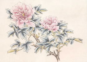 “藍(lán)田玉”牡丹的畫法
