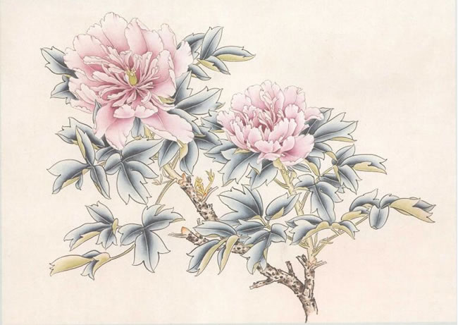 “藍(lán)田玉”牡丹的畫法