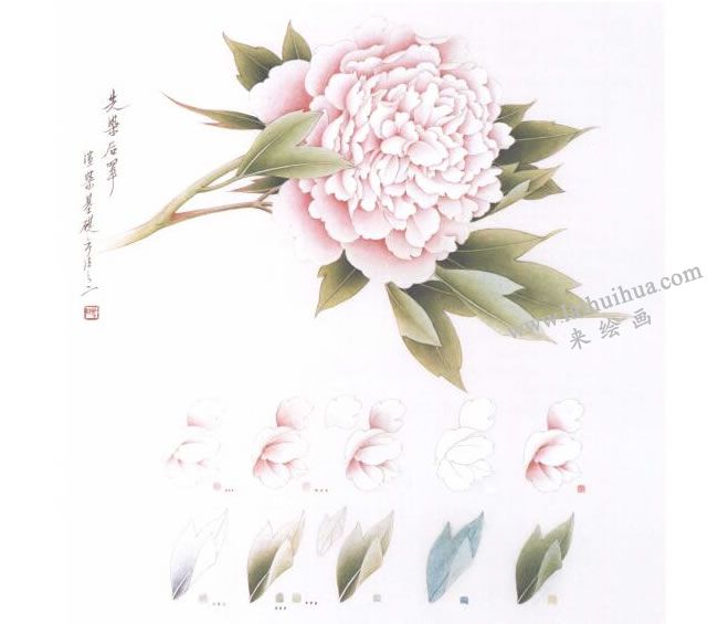 工筆牡丹渲染圖例