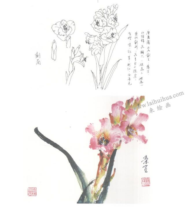 劍蘭寫意畫法圖示