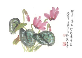 仙客來寫意畫法