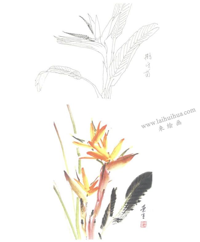 鶴望蘭寫(xiě)意畫(huà)法圖示