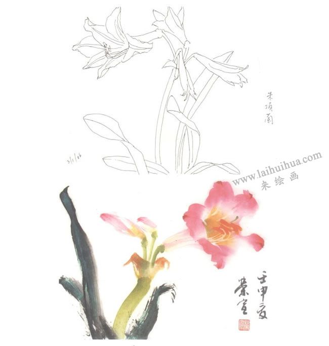 朱頂蘭寫意畫法圖示