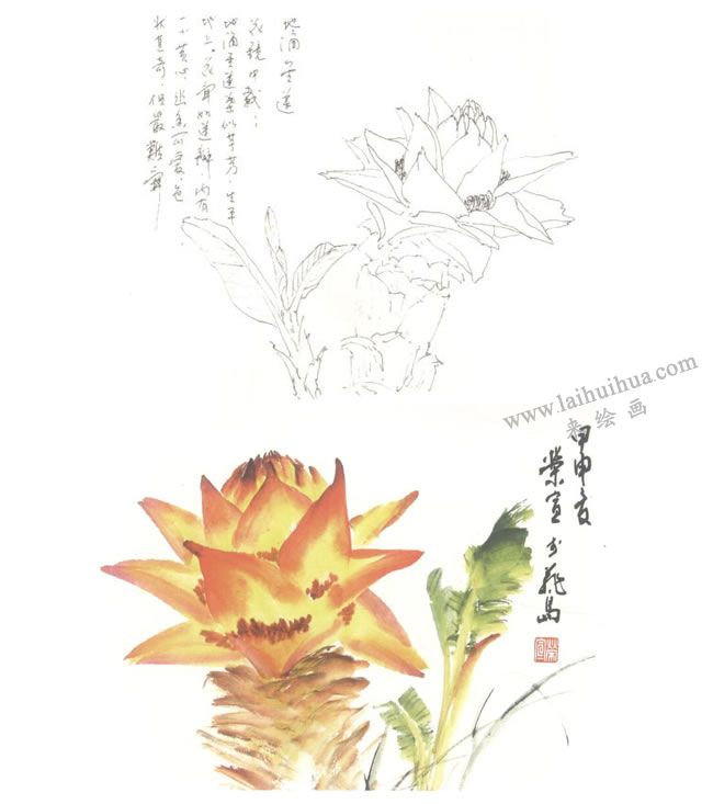 地涌金蓮寫意畫法圖示