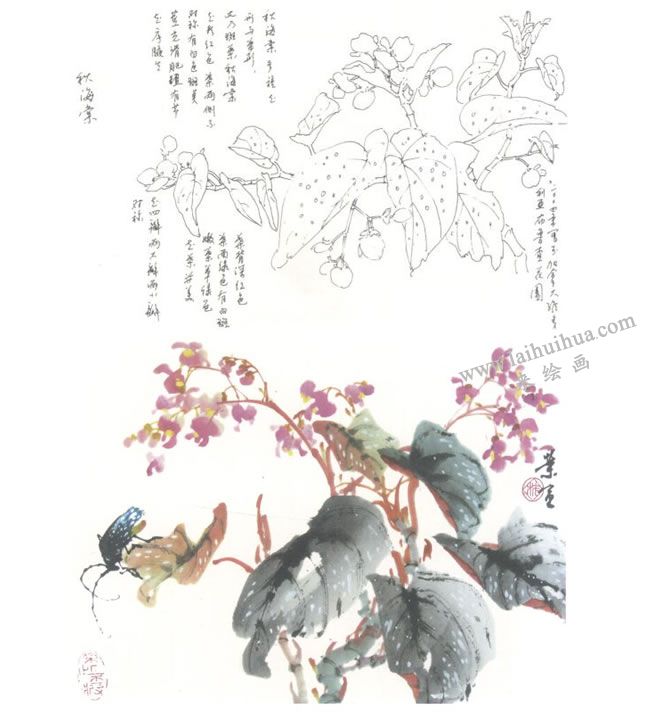 秋海棠寫意畫法圖示