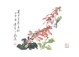 一串紅寫意畫法