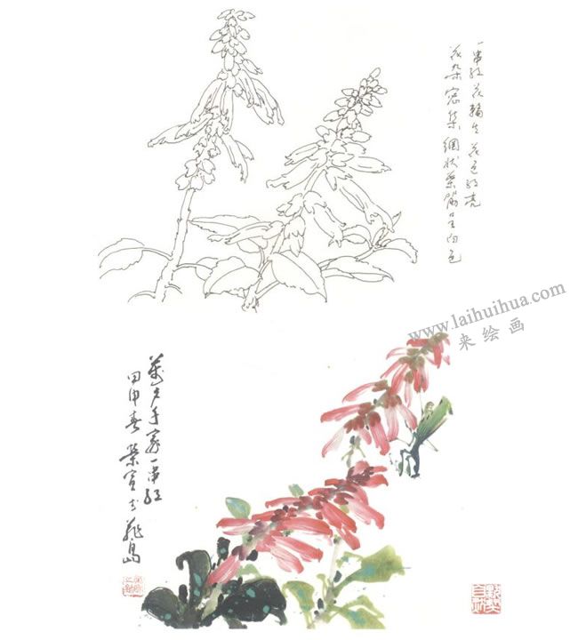 一串紅（墻下紅、西洋紅、草象紅）寫意畫法圖示