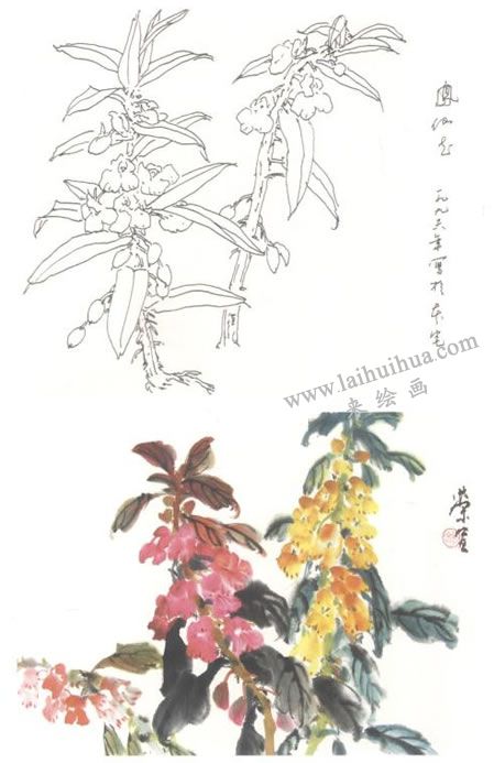 鳳仙花寫意畫法