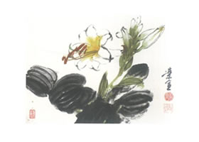 玉簪花寫意畫法