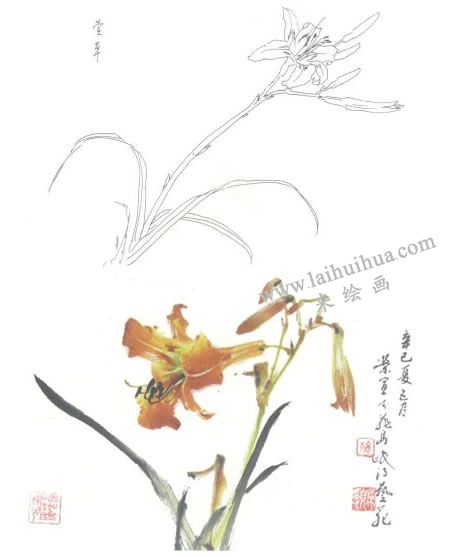 萱花寫意畫法