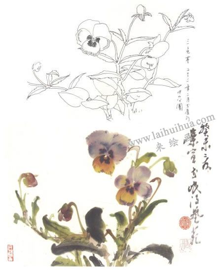 三色堇寫意畫法