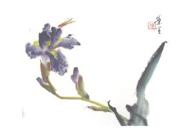 鳶尾寫意畫法