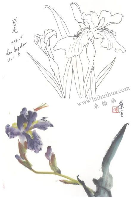鳶尾寫意畫法