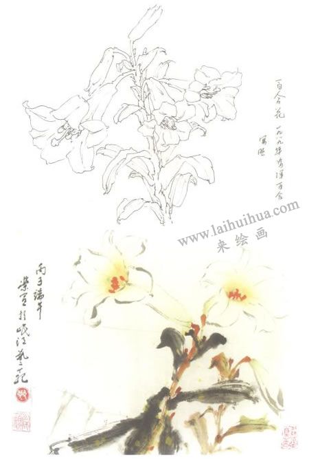 百合花寫意畫法