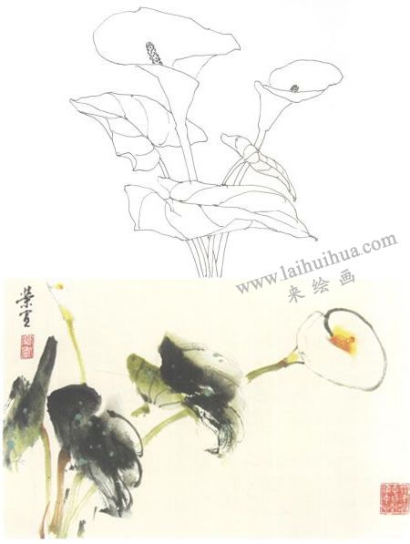 馬蹄蓮寫意畫法