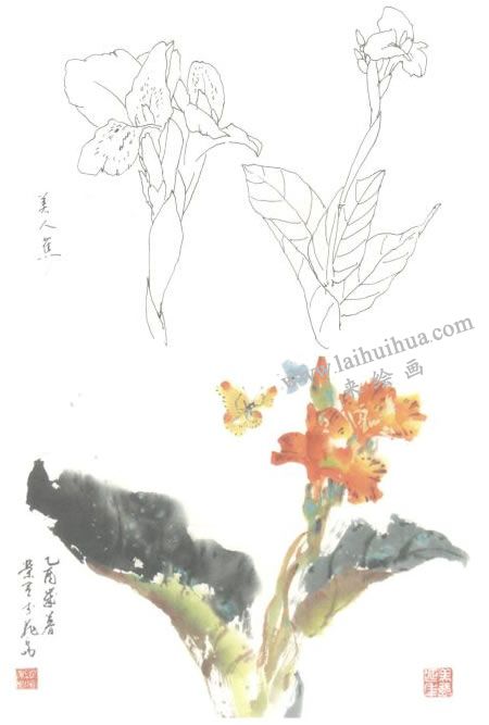美人蕉寫意畫法