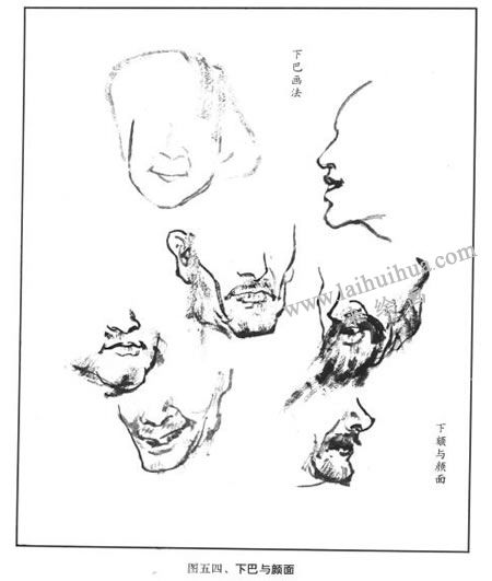 下巴與顏面