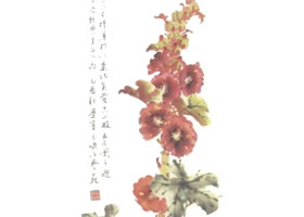 蜀葵寫意畫法