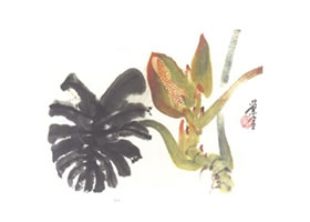 龜背竹寫意畫法