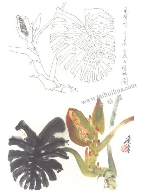 龜背竹寫意畫法