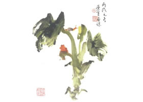 海芋寫意畫法
