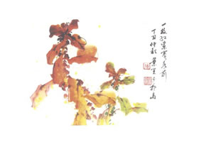 雁來(lái)紅寫意畫法