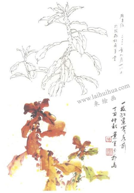 雁來紅寫意畫法
