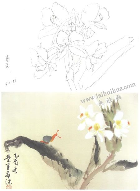 姜花寫意畫法
