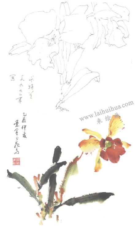 胡姬花寫意畫法