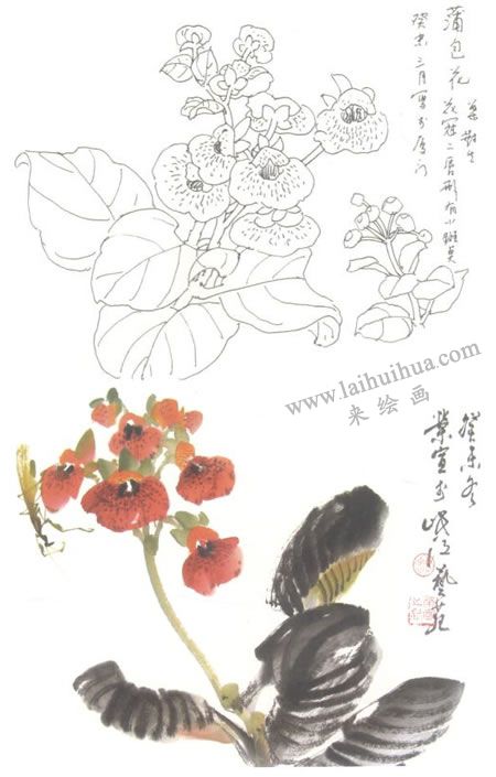 荷包花寫意畫法