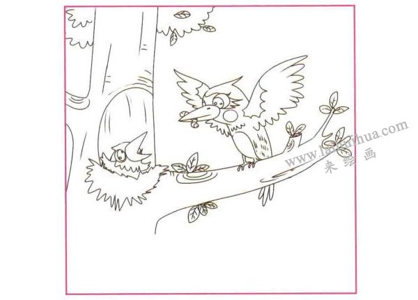 啄木鳥兒童線描畫法步驟01