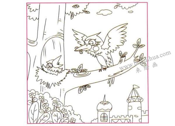 啄木鳥兒童線描畫法步驟02